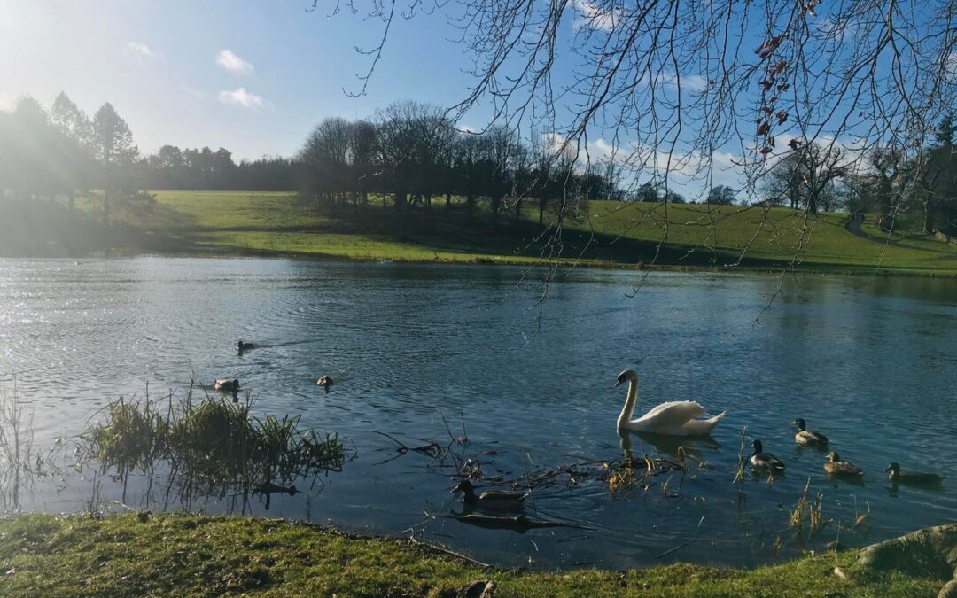 Blenheim Park – Bladon gate