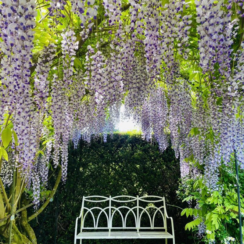 Waterperry Gardens