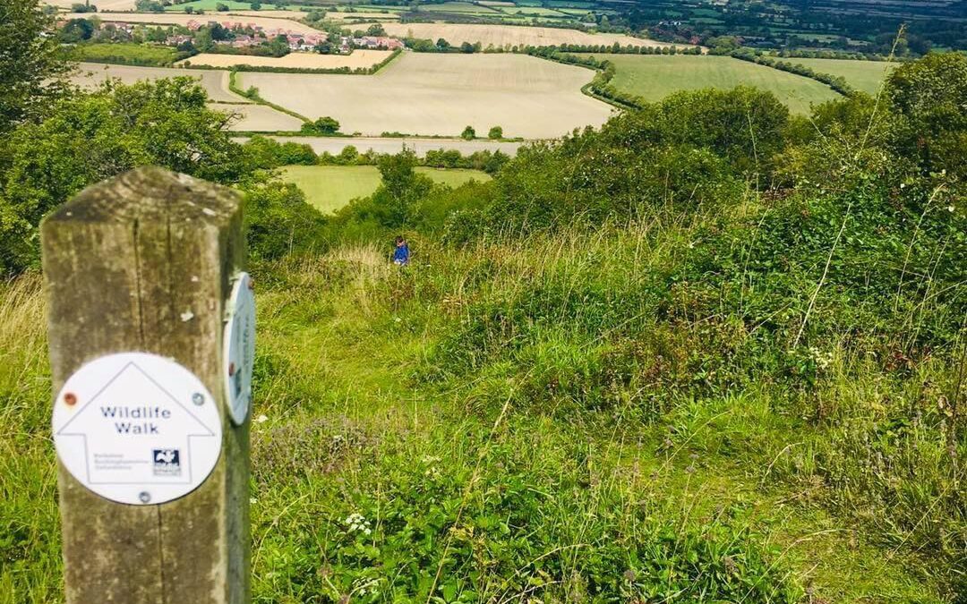 Chinnor Hill Nature Reserve