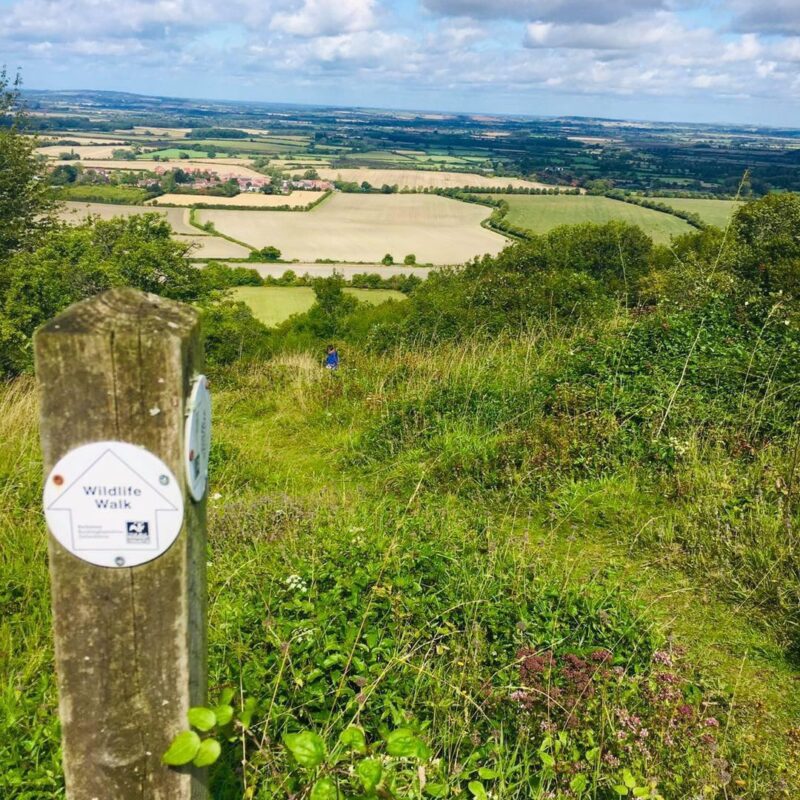 Chinnor Hill Nature Reserve