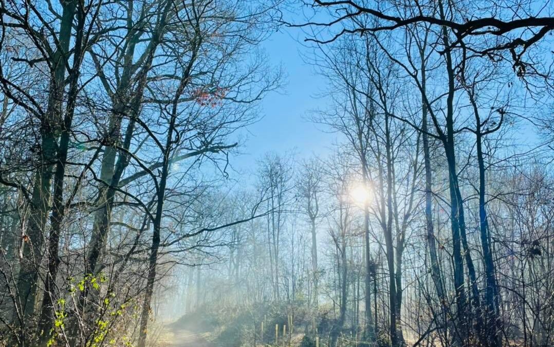 Dorchester to Wittenham Clumps Walk