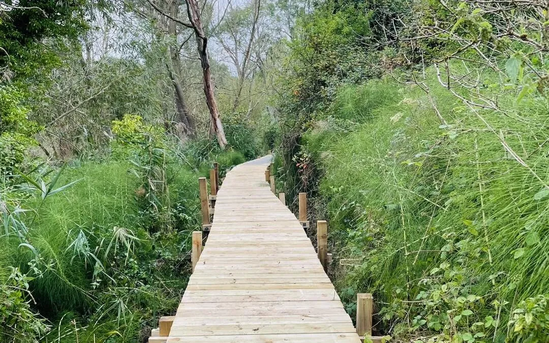 Hinksey Heights Nature Trail