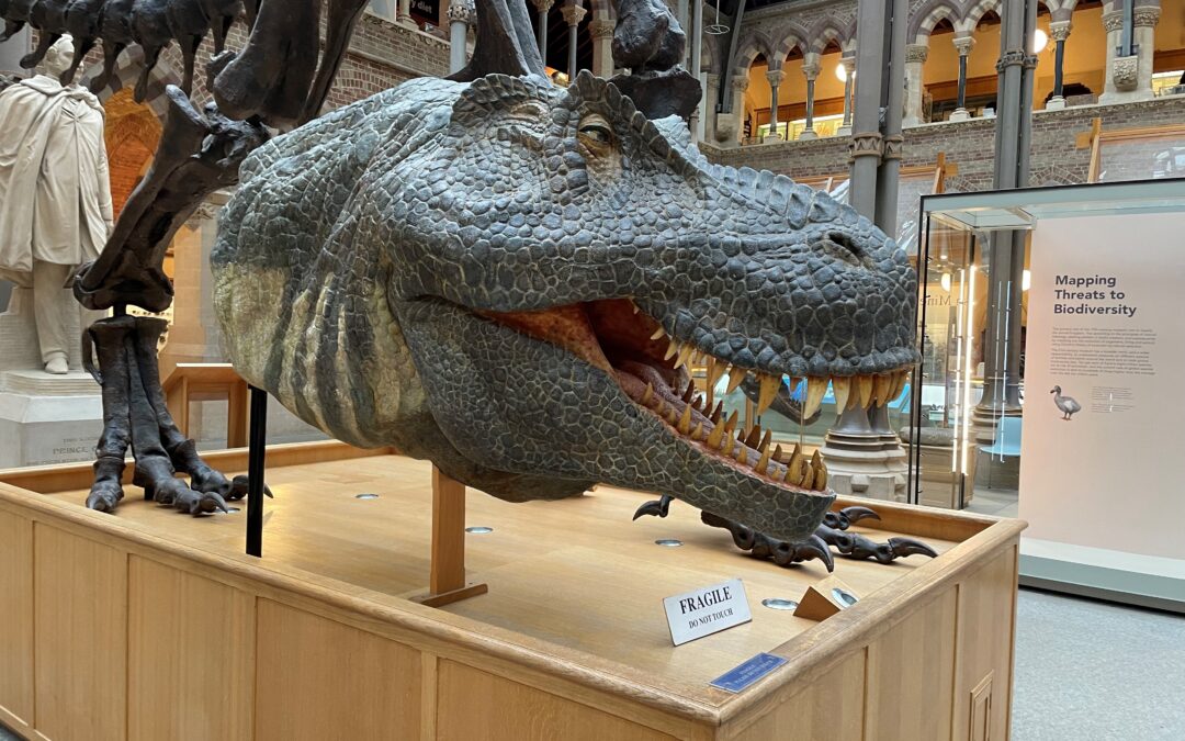 Oxford Museum of Natural History