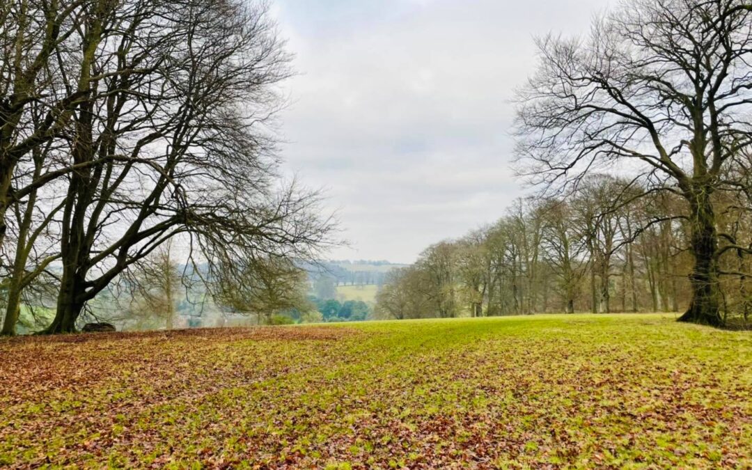 Swyncombe Circular Walk