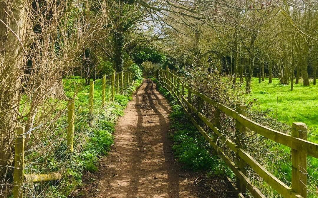 Waterperry to Waterstock Walk