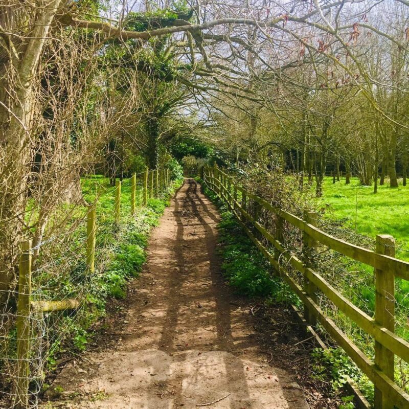 Waterperry to Waterstock Walk