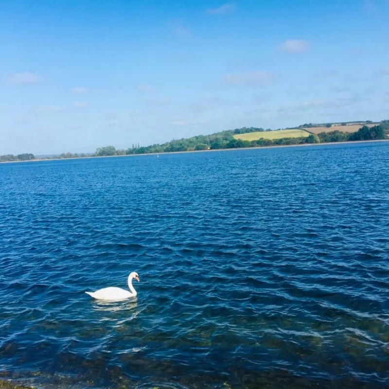 Farmoor Reservoir | Little Oxplorers