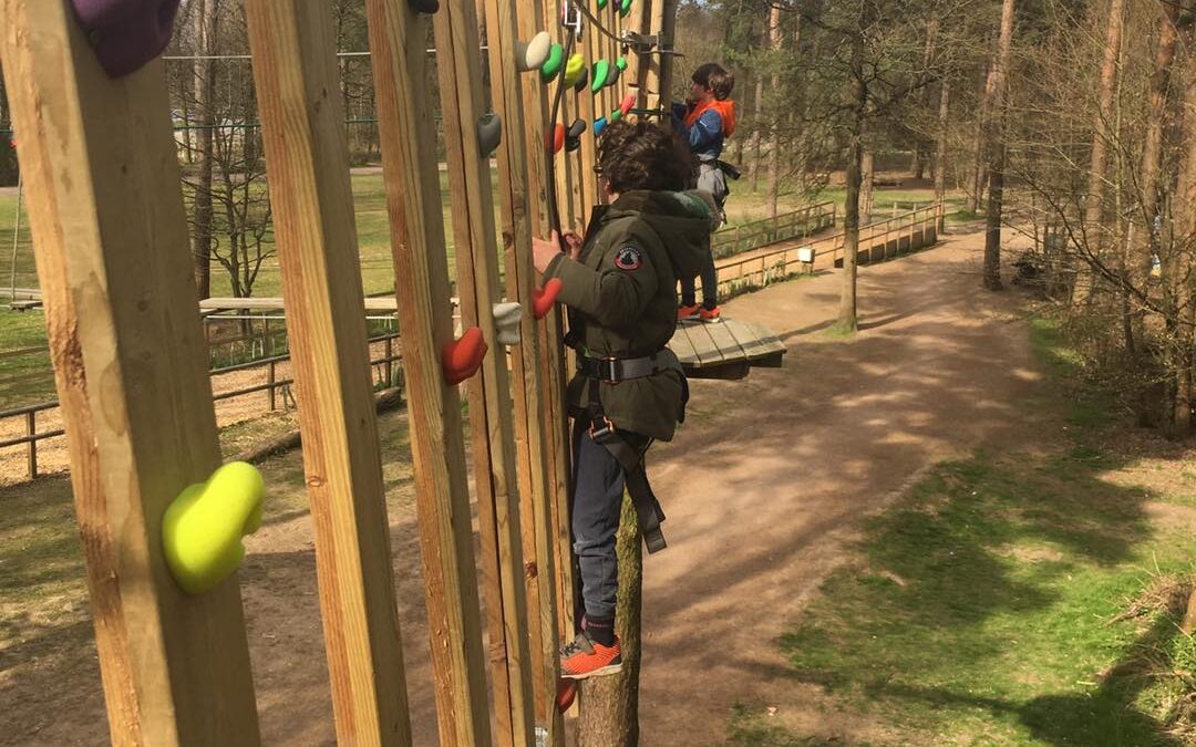 Go Ape at Wendover Woods