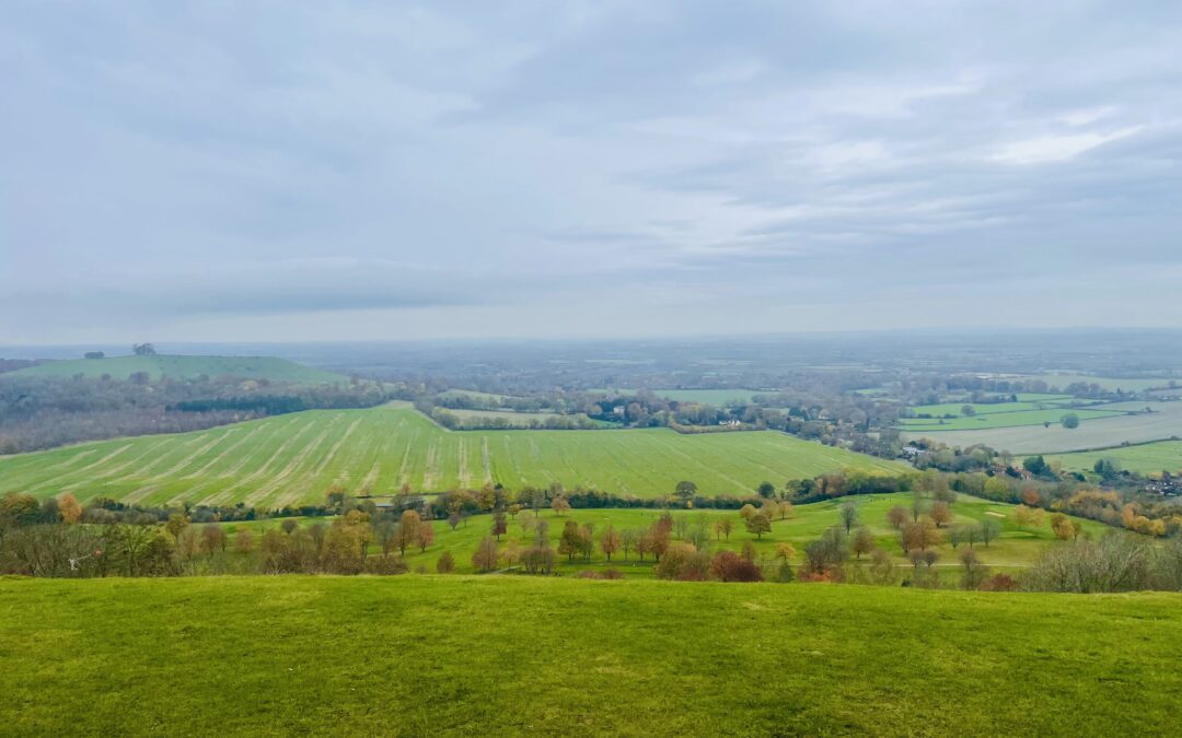 Coombe Hill Circular Walk