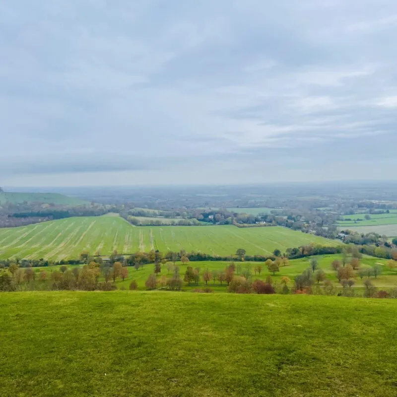 Coombe Hill Circular Walk