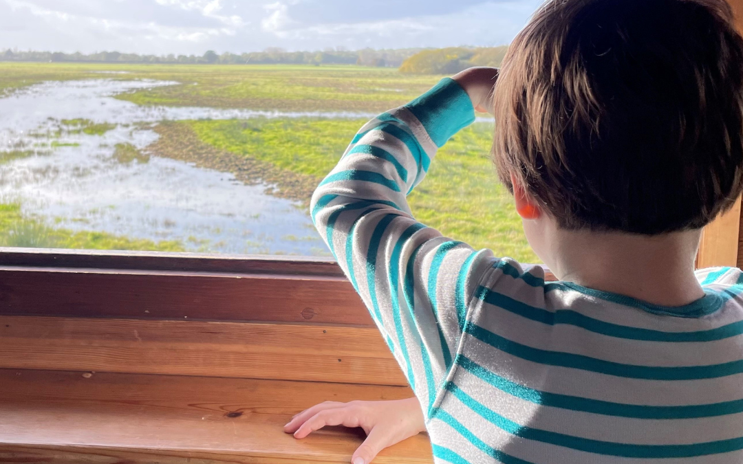 Otmoor RSPB Nature Reserve