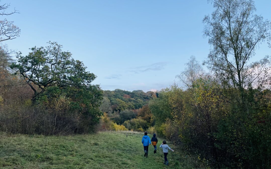 Warburg Nature Reserve