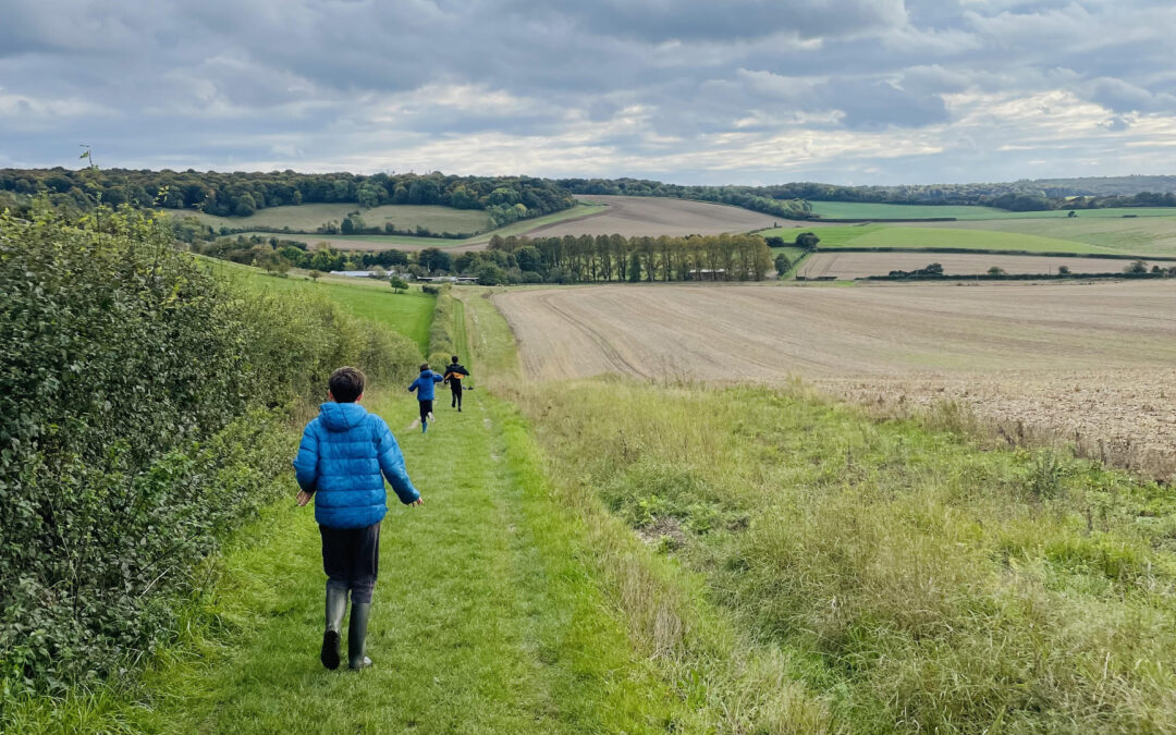 Hailey and Ipsden Circular (with pub & playground!)