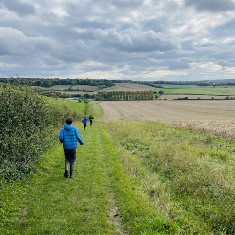 Hailey and Ipseden Circular (with pub & playground!)