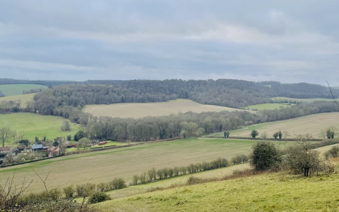 Skirmett, Fingest and Turville 5k circular