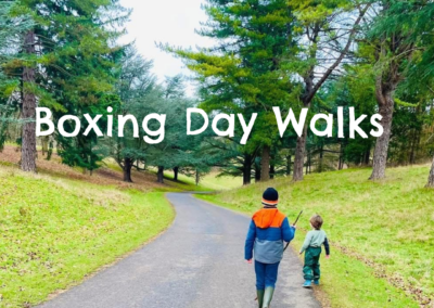 Boxing Day Walks in Oxford and beyond