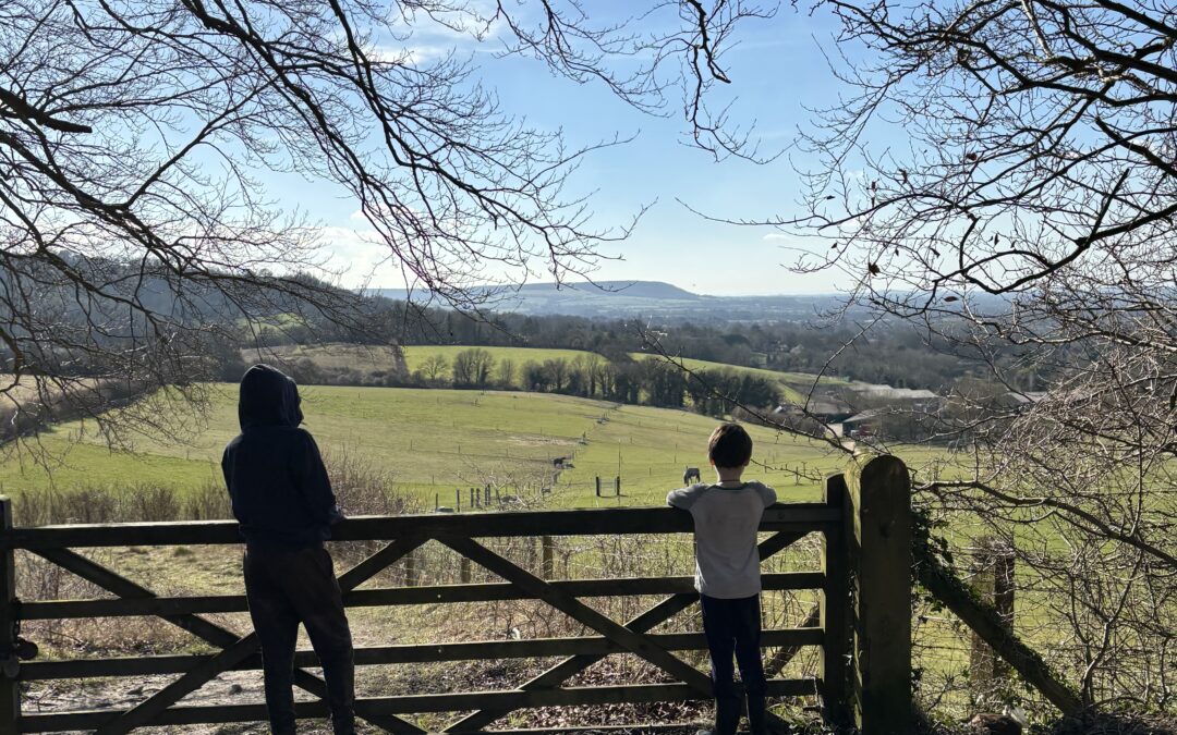 Pulpit Hill and Ninn Wood