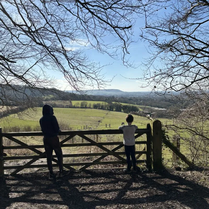 Pulpit Hill and Ninn Wood