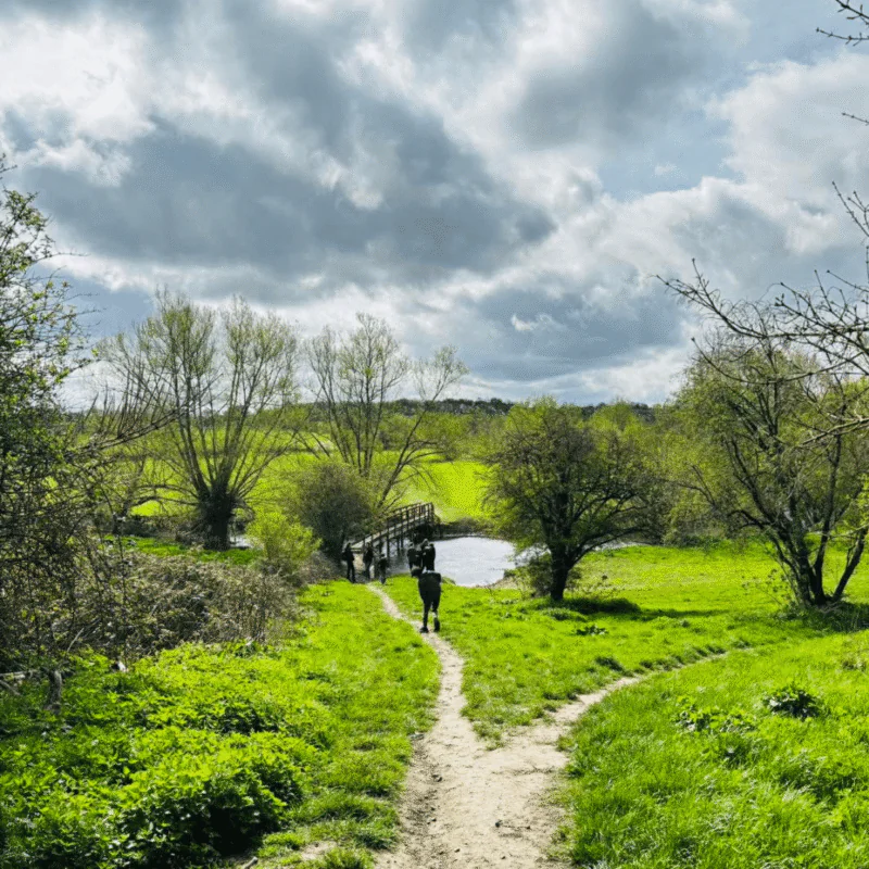 Stonesfield Dinosaur Walk